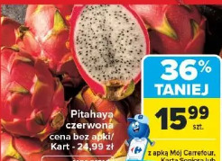Pitahaya czerwona