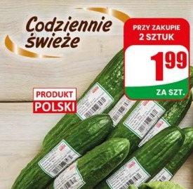 Ogórek zielony polski