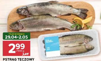 Pstrąg tęczowy patroszony Mirko