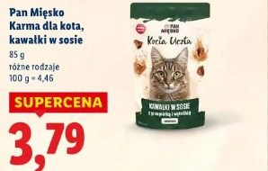 Pan Mięsko Karma dla kota, kawałki w sosie