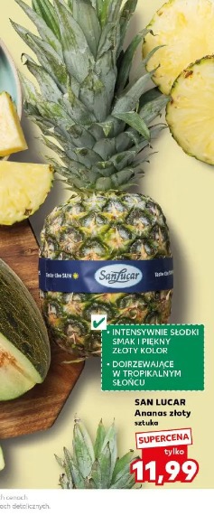San Lucar Ananas złoty