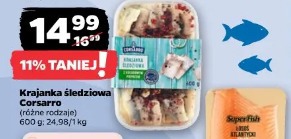 Krajanka śledziowa Corsarro