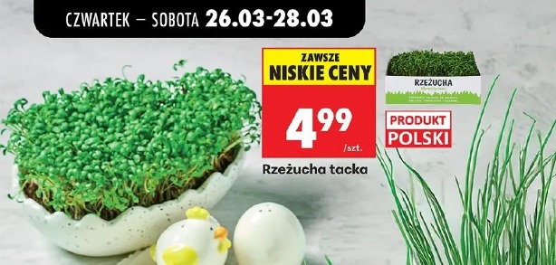 Rzeżucha tacka