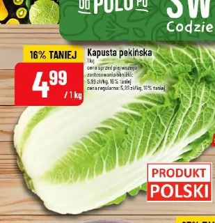 Kapusta pekińska