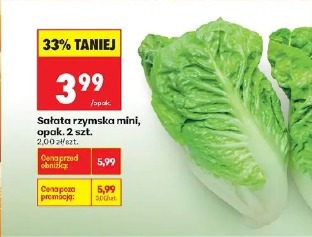 Sałata rzymska mini