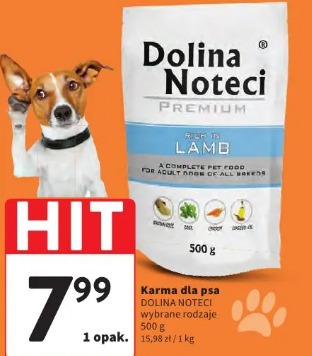 Karma dla psa DOLINA NOTECI