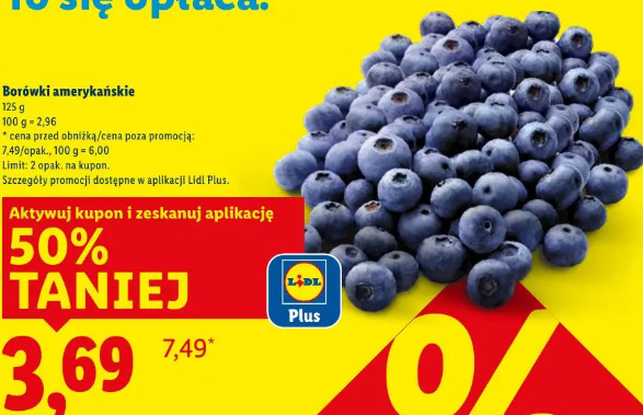 Borówki amerykańskie