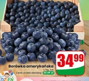 Borówka amerykańska
