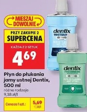 Płyn do płukania jamy ustnej Dentix, 500 ml