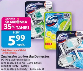 Zawieszka lub kostka Domestos