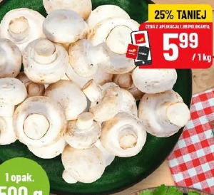 Pieczarki