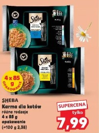 Sheba karma dla kotów