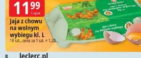 Jaja z chowu na wolnym wybiegu kl. L
