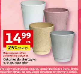 Osłonka do storczyka