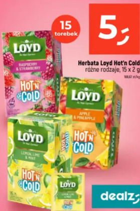 Herbata Loyd Hot'n Cold