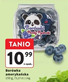 Borówka amerykańska