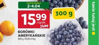 Borówki amerykańskie