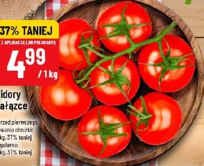 Pomidory na gałązce