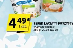 Serek Łaciaty puszysty