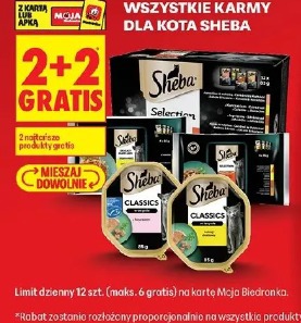 Wszystkie karmy dla kota Sheba
