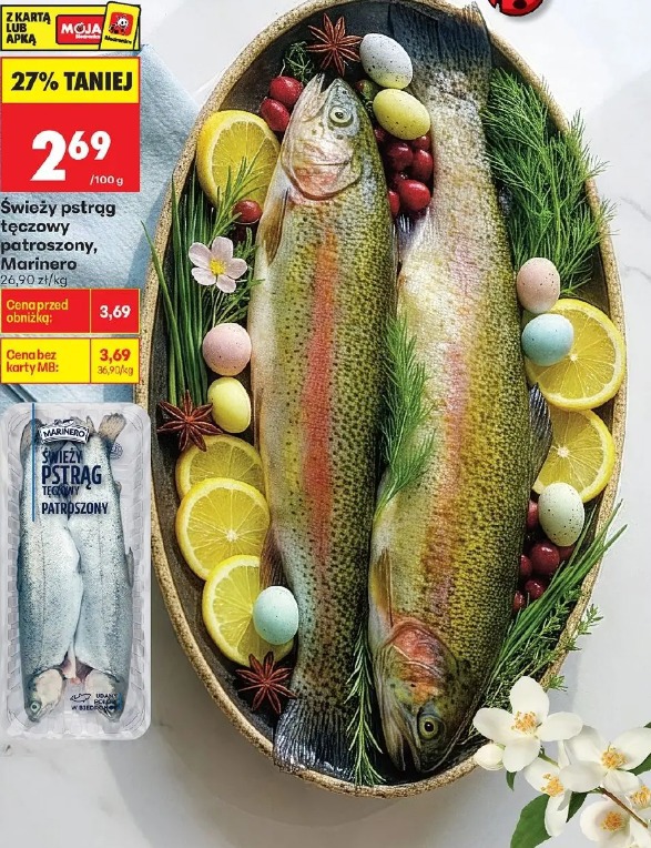 Świeży pstrąg tęczowy patroszony Marinero