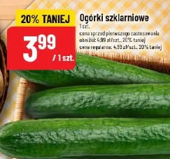 Ogórki szklarniowe