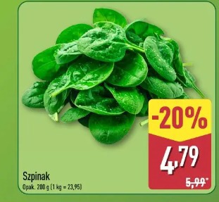 Szpinak