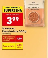 Soczewica Plony Natury