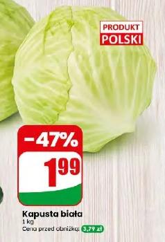 Kapusta biała