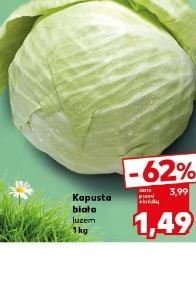 Kapusta biała