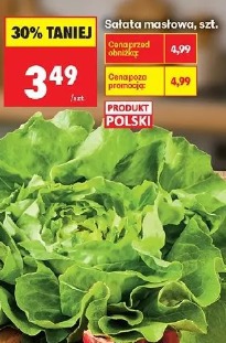 Sałata masłowa