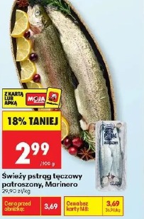 Świeży pstrąg tęczowy patroszony Marinero