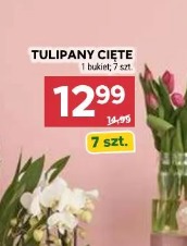 Tulipany cięte 7 szt.