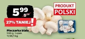 Pieczarka biała