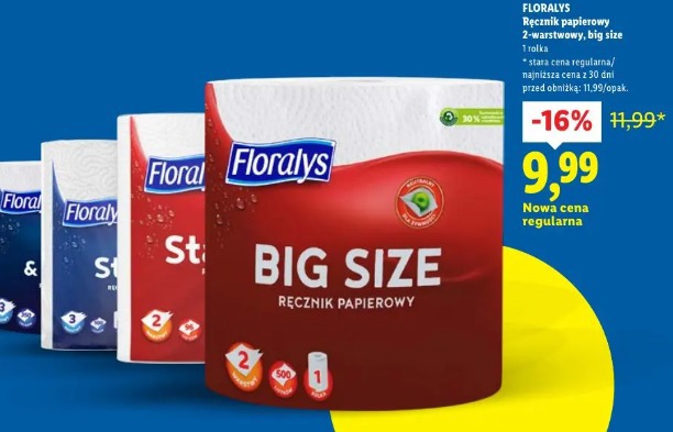 Florays Ręcznik papierowy 2-warstwowy, big size