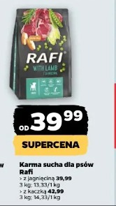 Karma sucha dla psów Rafi