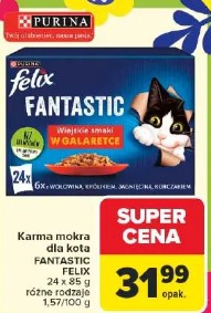 Felix Fantastic karma mokra dla kota