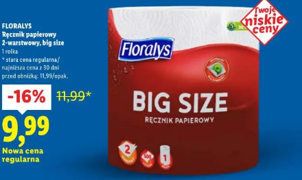 Ręcznik papierowy 2-warstwowy, big size