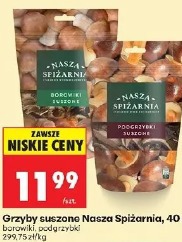 Grzyby suszone Nasza Spiżarnia