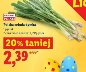 Polska cebula dymka