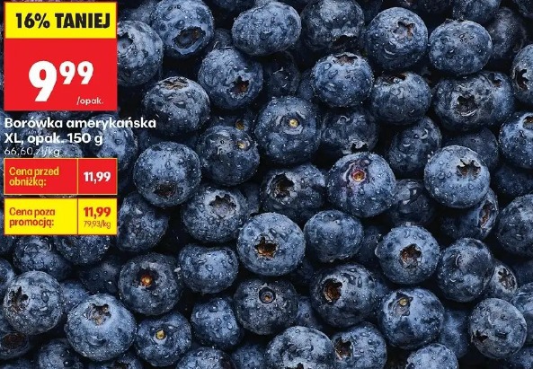 Borówka amerykańska XL