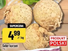 Seler korzeń