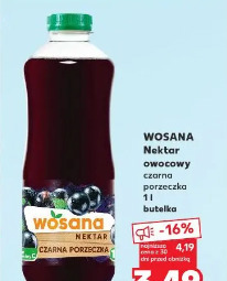 Wosana Nektar owocowy czarna porzeczka