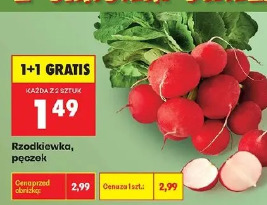 Rzodkiewka pęczek