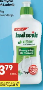 Ludwik płyn do mycia naczyń