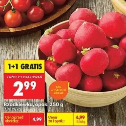 Rzodkiewka