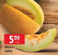 Melon Galia