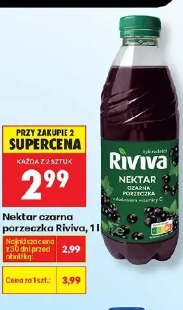 Nektar czarna porzeczka Riviva