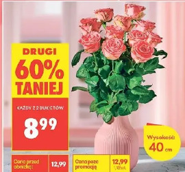 Róża