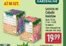 Gardenline Cebulki kwiatów